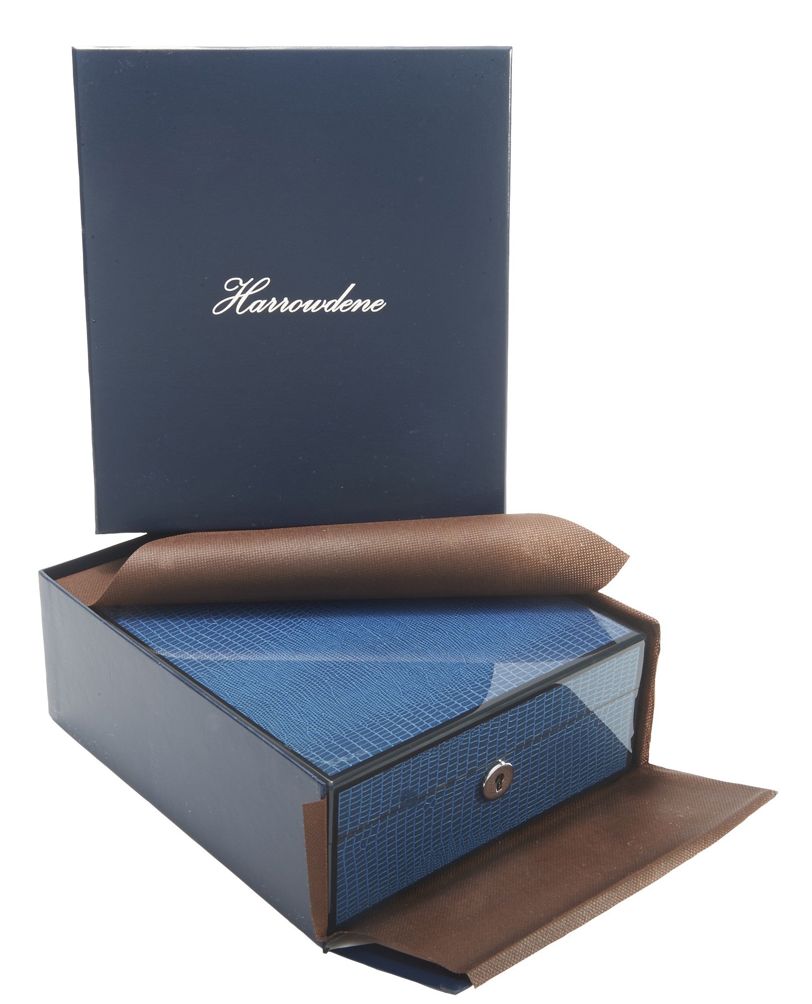 Blue Lizard Piano Finish Jewellery & Watch Box - 20cm