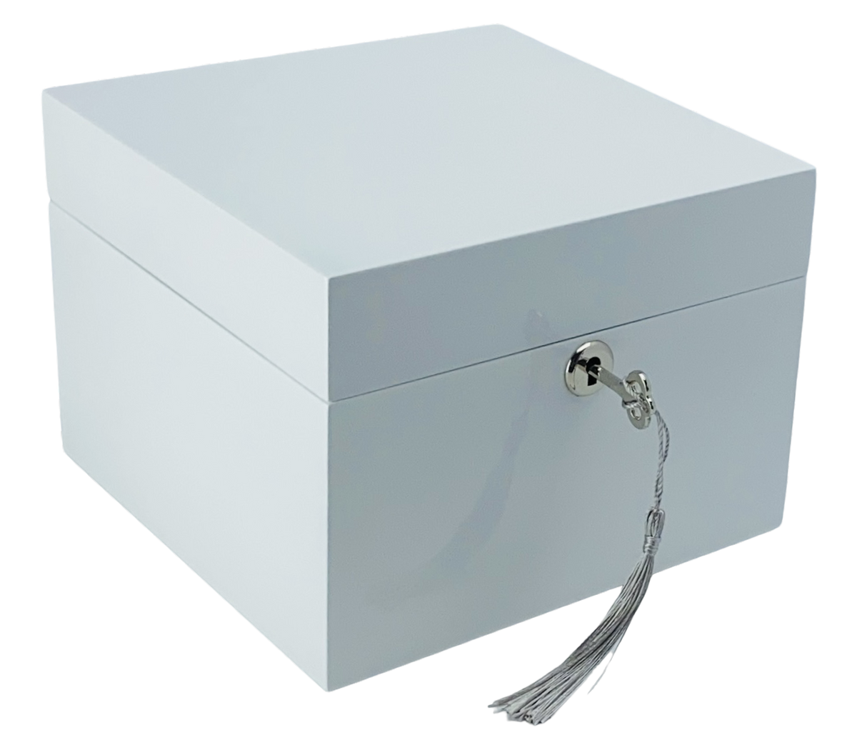 Small White High Gloss Wood Jewellery Box L19cm