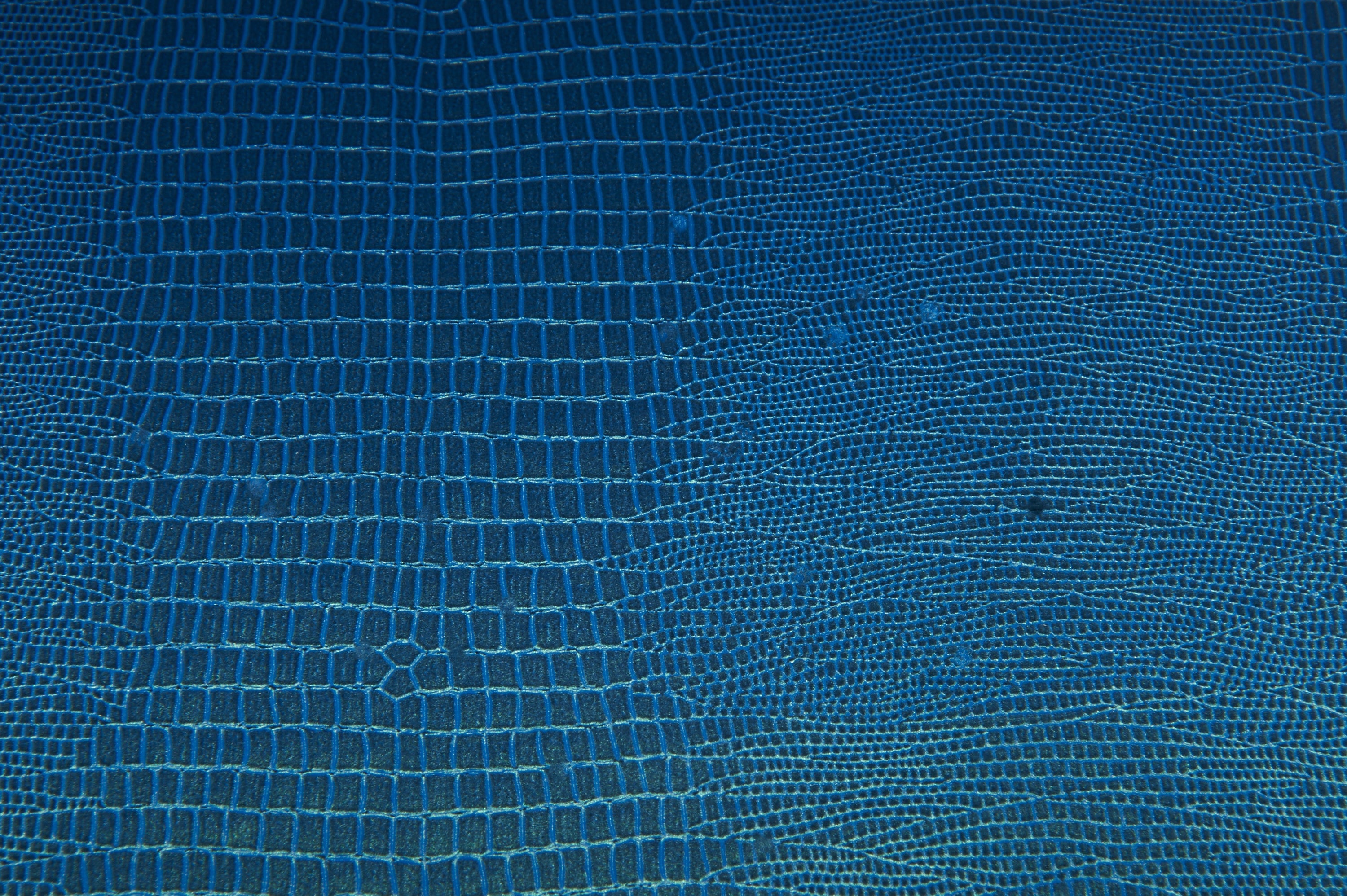 Harrowdene-Piano-Finish-Timber-Blue-Lizard-Watch-Box-F‌inish