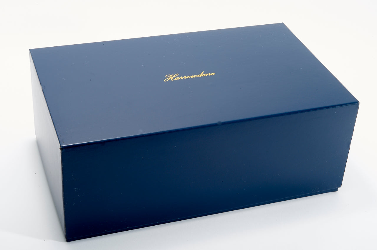 Blue Lizard Piano Finish Jewellery & Watch Box - 20cm